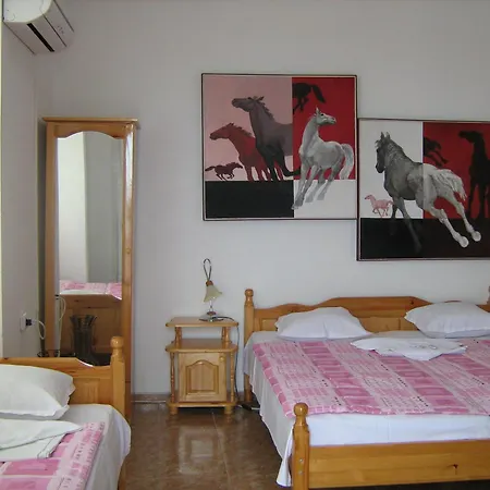 Orbita Guest house